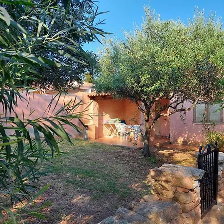 Conchiglia House