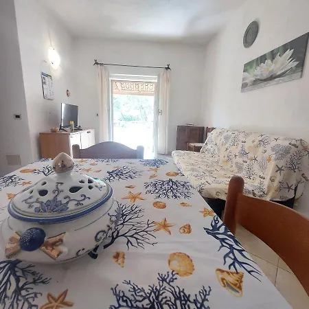 Conchiglia House * Tanaunella